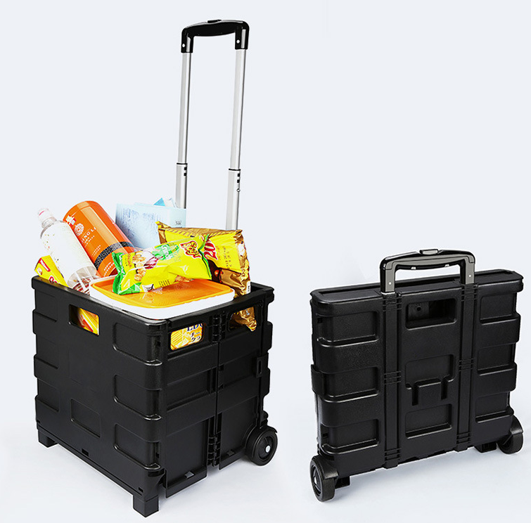 Rolling Trunk Organizer — Folds Flat, Rolls Out, Holds 55 lb 4